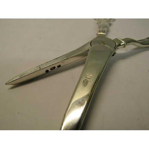 188 - A pair of William IV silver grape scissors, makers mark for Joseph Willmore, Birmingham 1829, 3ozt, ... 