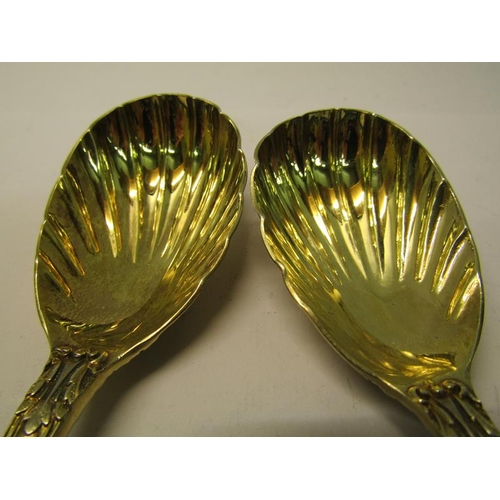 204 - A pair of late Victorian silver gilt serving spoons with shell shaped bowls, the handles cast with c... 