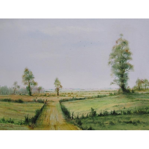 1127 - SIMON DEVERILL ATACK - EXPANSIVE FARMING LANDSCAPE, SIGNED, OIL ON CANVAS, FRAMED, 58CM X 40CM