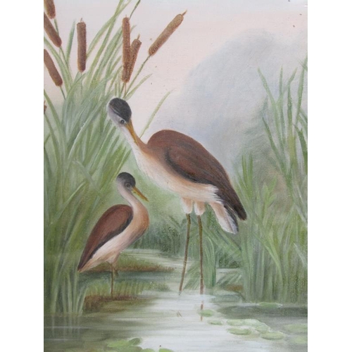 1141 - 19c PAIR OF WATERCOLOURS - FLAMINGOS, UNSIGNED .  F/G 24 x 50 cms