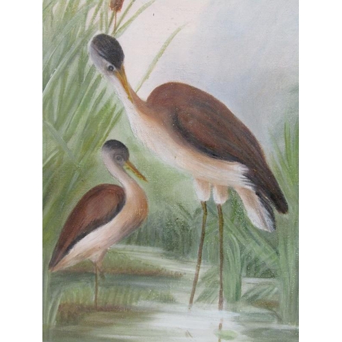 1141 - 19c PAIR OF WATERCOLOURS - FLAMINGOS, UNSIGNED .  F/G 24 x 50 cms