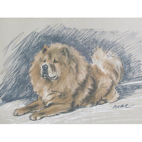 1176 - LUCY DAWSON (MACK) 1867-1954 FRAMED PENCIL WATERCOLOUR OF A CHOW TOGETHER WITH A PENCIL STUDY OF TWO... 