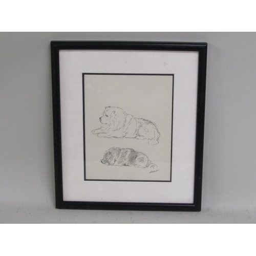 1176 - LUCY DAWSON (MACK) 1867-1954 FRAMED PENCIL WATERCOLOUR OF A CHOW TOGETHER WITH A PENCIL STUDY OF TWO... 