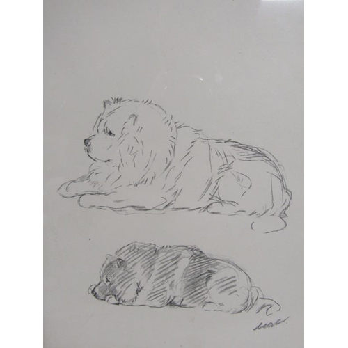 1176 - LUCY DAWSON (MACK) 1867-1954 FRAMED PENCIL WATERCOLOUR OF A CHOW TOGETHER WITH A PENCIL STUDY OF TWO... 