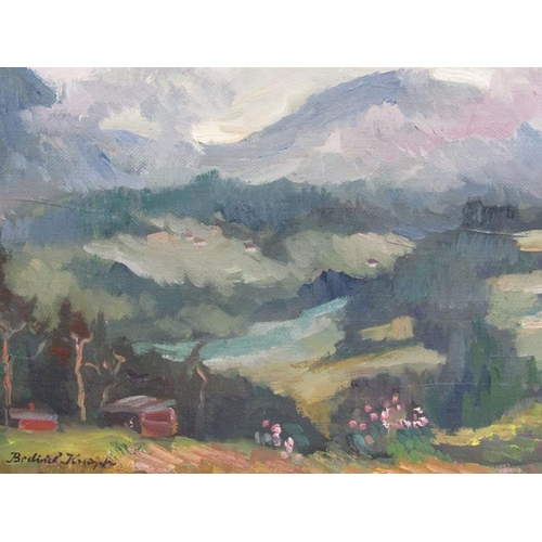 1193 - CONTEMPORARY OIL ON PANEL, EUROPEAN SUMMERTIME LANDSCAPE WITH MOUNTAINS IN THE DISTANCE - SIGNED IND... 