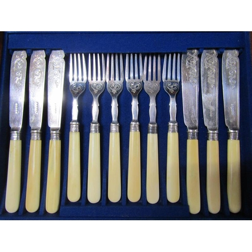 1601 - ELKINGTON FIVE PIECE BONE HANDLED CARVING SET TOGETHER WITH A SIX PIECE FISH KNIFE AND FORK CANTEEN