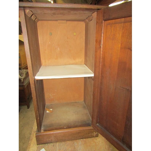 157 - VICTORIAN BEDSIDE CUPBOARD