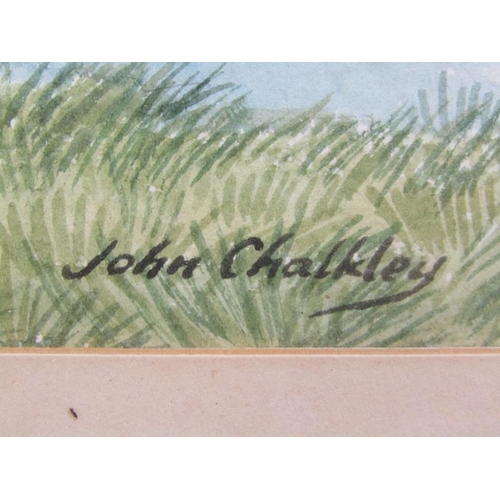 1016 - JOHN CHALKLEY - ALDBURY VILLAGE POND, SIGNED.  F/G 34 x 52 cms