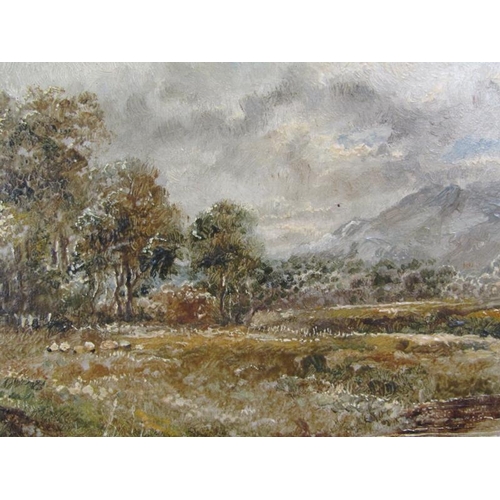 1030 - SIDNEY J GEE - PAIR LANDSCAPES WITH RIVER SETTINGS, OIL ON BOARD.  ONE IS SIGNED, EACH FRAMED 14 x 1... 