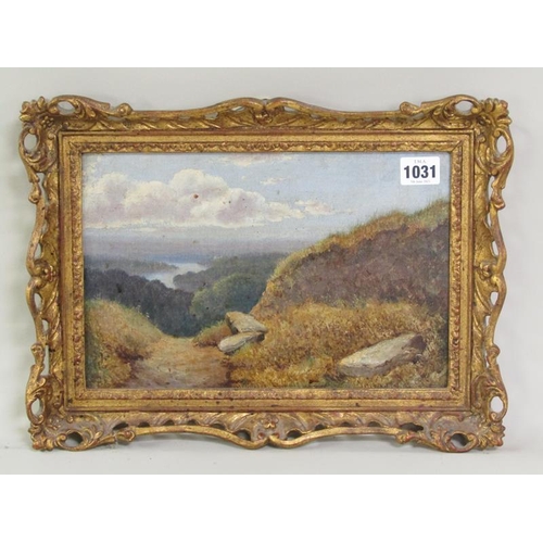 1031 - UNSIGNED - A HIGHLAND SETTING WITH DISTANT RIVER AND ROCKS IN THE FOREGROUND, OIL ON CANVAS.  FRAMED... 