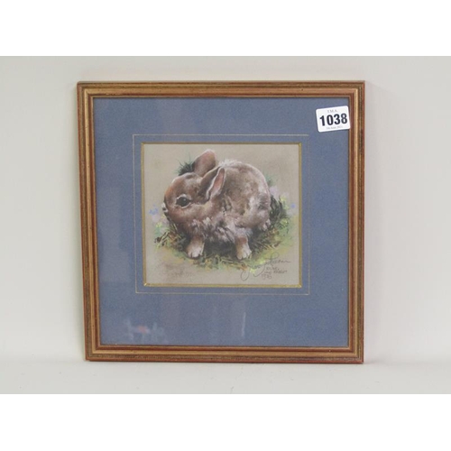 1038 - MARY RECTON(?) YOUNG WILD RABBIT, 1976.  WATERCOLOUR SIGNED F/G 14 x 15cms