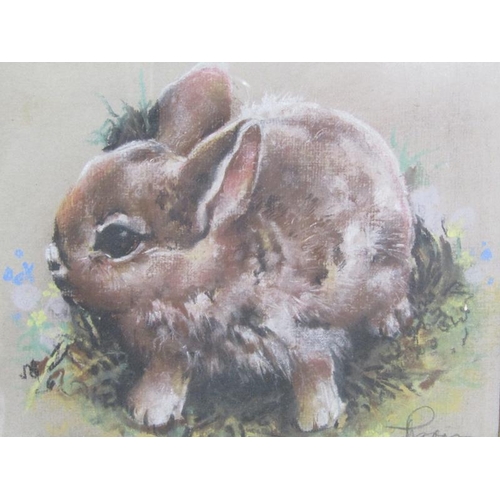 1038 - MARY RECTON(?) YOUNG WILD RABBIT, 1976.  WATERCOLOUR SIGNED F/G 14 x 15cms