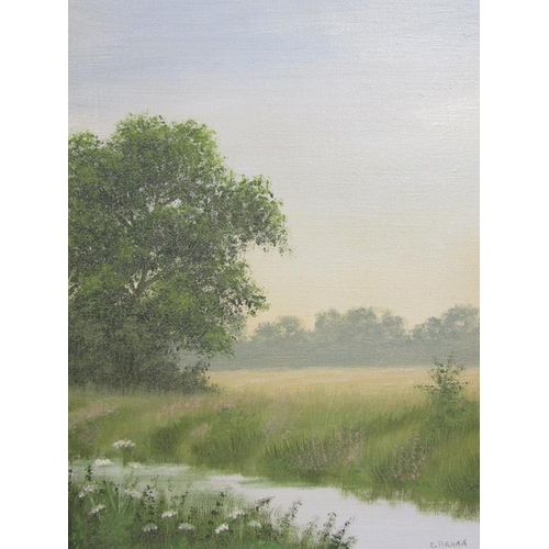 1047 - EDWARD TURNER - A QUIET RIVER SETTING, OIL ON CANVAS.  SIGNED FRAMED 25 x 20 cms