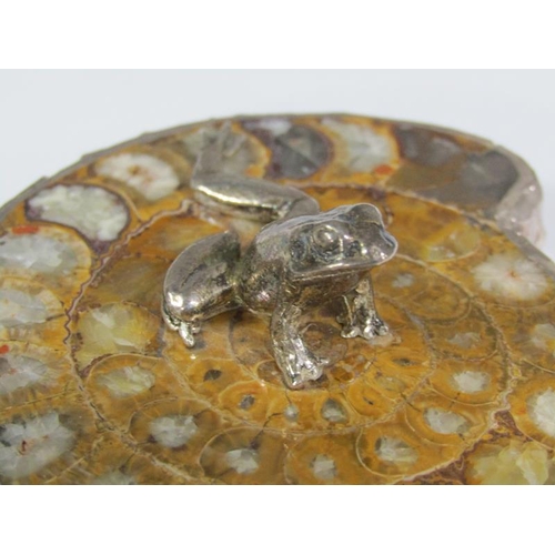 65 - A silver frog on a fossilised stone base, silver mounted with date letters (rubbed), 8cm w.