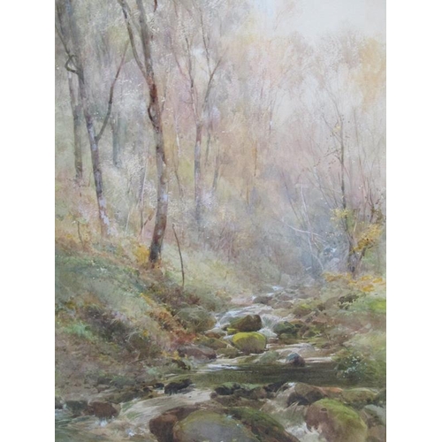 252 - Paul Jacob Naftel - A rocky stream in a woodland setting, signed and dated, watercolour, framed and ... 