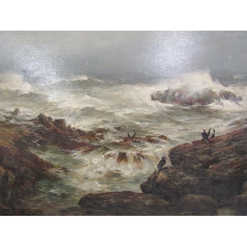 294 - Unsigned 19c - A stormy rocky coastal scene with birds perched on the rocks, oil on canvas on board,... 