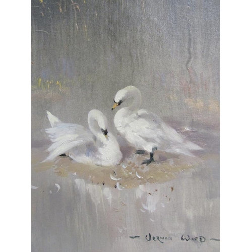 309 - Vernon Ward - Spring preening, signed, oil on canvas on board, framed, 33cm x 23cm.