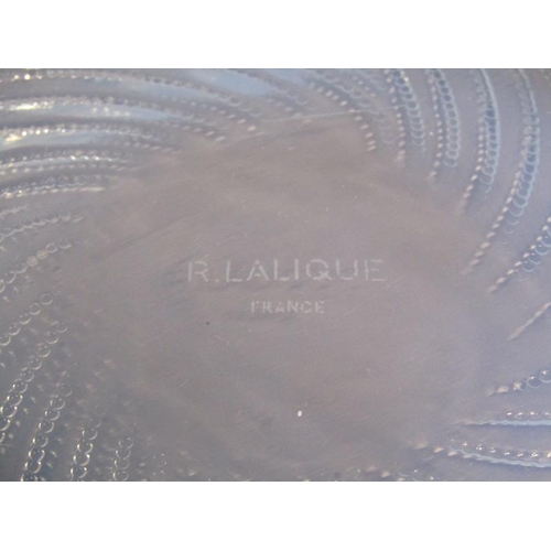 216 - An Art Deco Lalique 'Algues' moulded glass dish, slightly opalescent, stencil mark R.Lalique France,... 