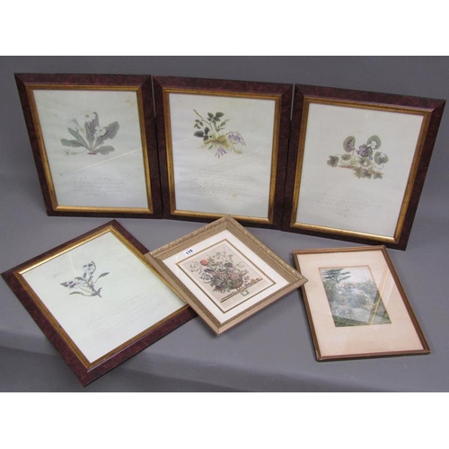 119 - QTY OF FRAMED BOTANICAL PRINTS ETC