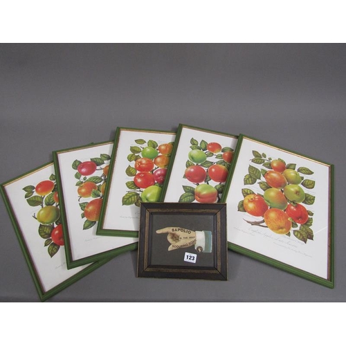 123 - SERIES OF FRAMED FRUIT PRINTS ETC