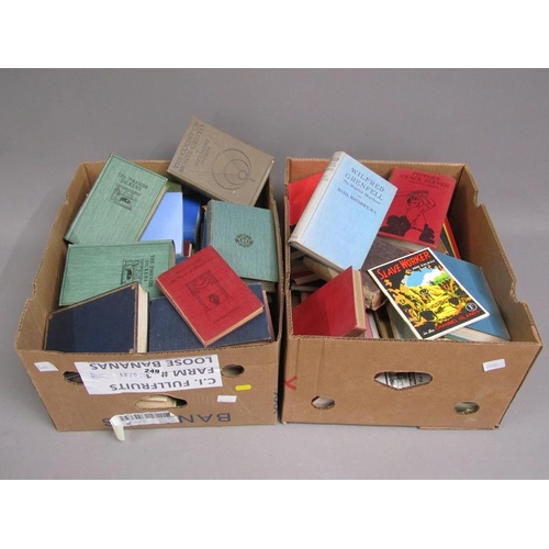 249 - TWO BOXES OF VINTAGE BOOKS TO INC. DICKINS