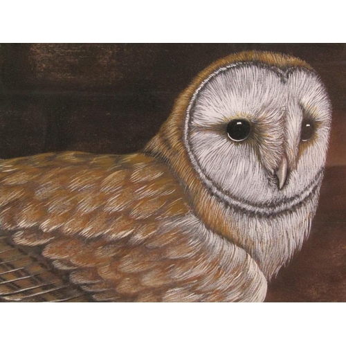 1038 - J REYNOLDS - OWL, WATERCOLOUR, F/G, 44CM X 33CM