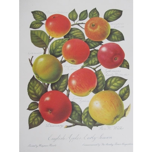 123 - SERIES OF FRAMED FRUIT PRINTS ETC