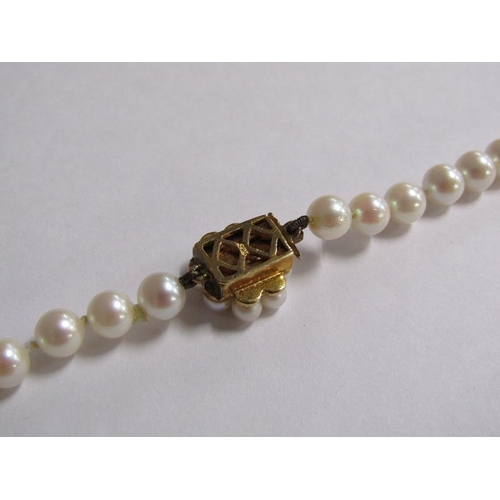 100 - A string of cultured pearls, 55cm l, with gold stone set clasp.