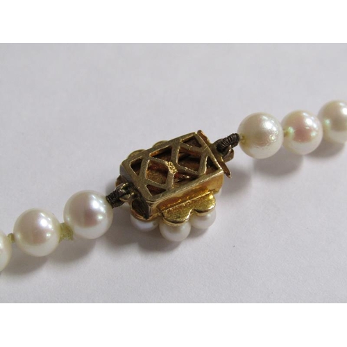 100 - A string of cultured pearls, 55cm l, with gold stone set clasp.