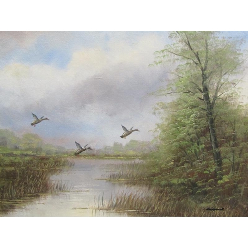 1111 - FURDROUX DUCKS RISING, OIL ON CANVAS.  FRAMED 39 x 49  cms