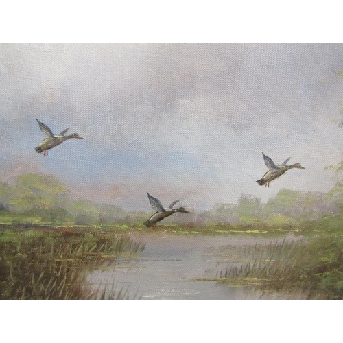 1111 - FURDROUX DUCKS RISING, OIL ON CANVAS.  FRAMED 39 x 49  cms