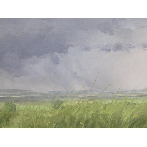 1144 - BRIAN BENNETT, THE AYLESBURY VALE SIGNED OIL ON PANEL, UNFRAMED 40 x 76 cms