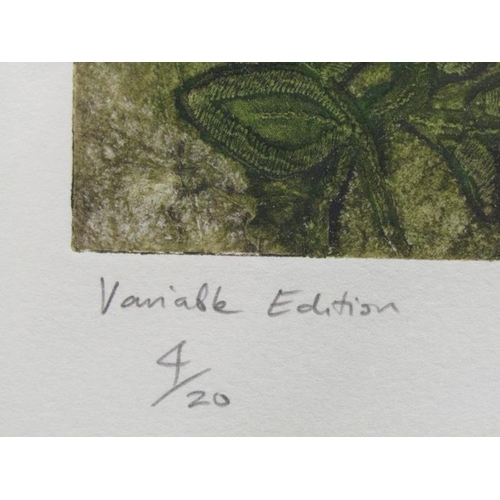 1153 - MARION CONTE - VARIABLE EDITION PRINT, ELLEN 4/20, F/G, 30CM X 26CM