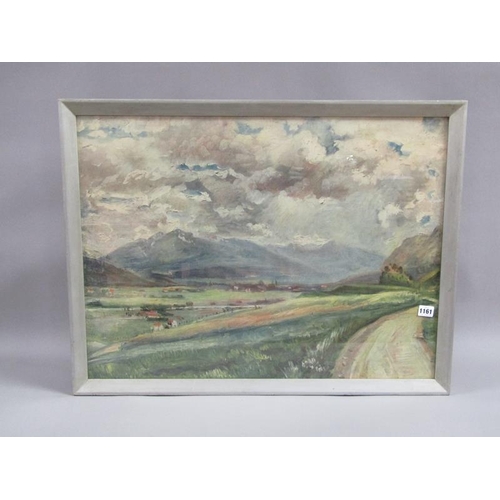 1161 - SIGNED INDISTINCTLY - COLOURED PRINT, MOUNTAINOUS VALLEY WITH VILLAGE, 54CM X 73CM