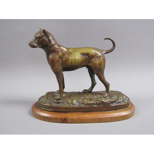 40 - A 20c patinated bronze figure of a terrier dog, standing, and supported on a wooden base, 20cm w, 17... 