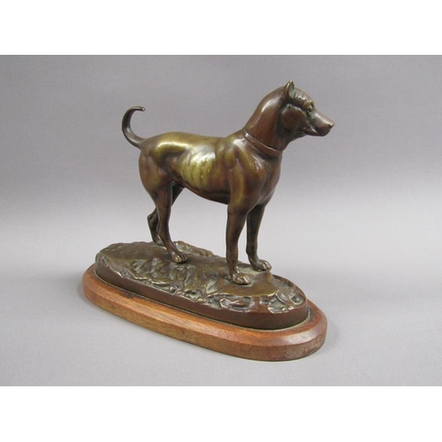 40 - A 20c patinated bronze figure of a terrier dog, standing, and supported on a wooden base, 20cm w, 17... 