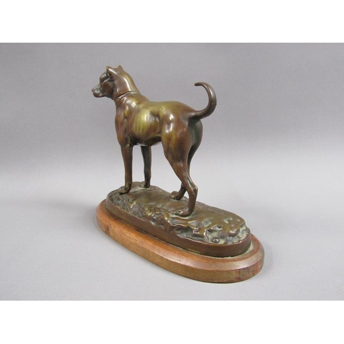 40 - A 20c patinated bronze figure of a terrier dog, standing, and supported on a wooden base, 20cm w, 17... 