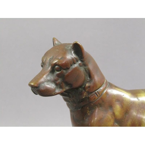 40 - A 20c patinated bronze figure of a terrier dog, standing, and supported on a wooden base, 20cm w, 17... 
