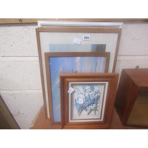 364 - COLLECTION OF FRAMED PRINTS; COLLAGE