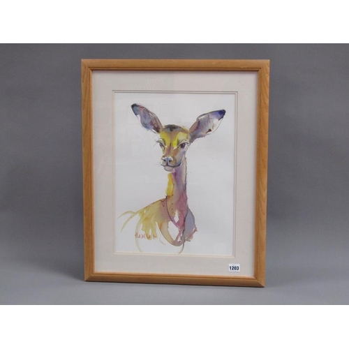 1203 - HAZEL SALT - YOUNG DEER, WATERCOLOUR, F/G, 45CM X 33CM