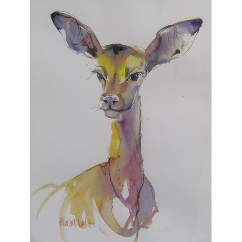 1203 - HAZEL SALT - YOUNG DEER, WATERCOLOUR, F/G, 45CM X 33CM