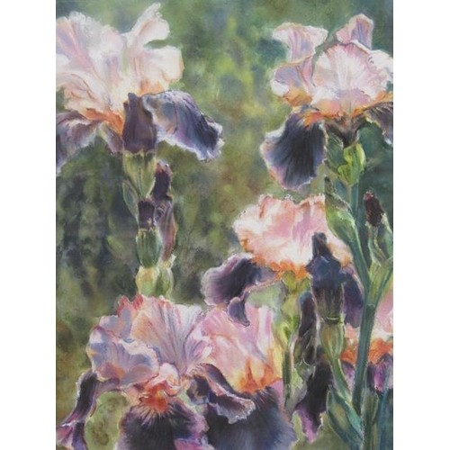 1206 - J VAN DICHELE - IRISES IN SUNLIGHT, WATERCOLOUR AND PASTILE, F/G, 48CM X 43CM