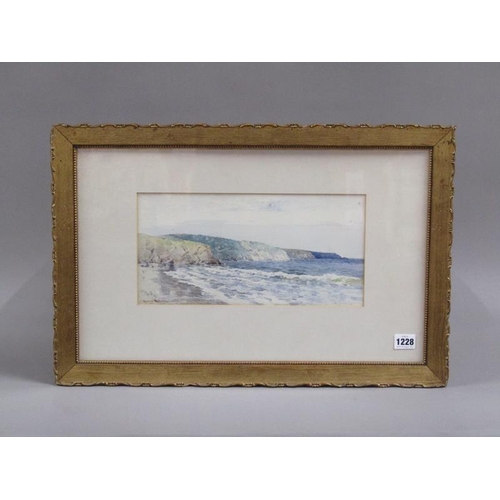 1228 - WARNE BROWNE - COASTAL SCENE WITH DISTANT CLIFFS, SIGNED WATERCOLOUR, F/G, 17CM X 34CM