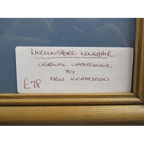 1239 - ERIN RICHARDSON - LINCOLNSHIRE LONGHAIR, SIGNED WATERCOLOUR, F/G, 36CM X 26CM