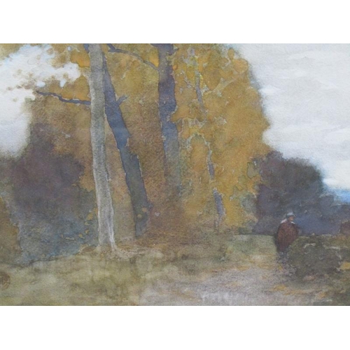 1283 - WILLIAM LEADBETTER CALDERWOOD, AN AUTUMN WOODLAND SETTING, INFORMATION TO REVERSE.  WATERCOLOUR F/G ... 