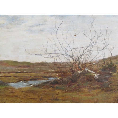 1308 - UNSIGNED, 19c MOORLAND LANDSCAPE WITH STREAM, UNSIGNED OIL ON PANEL.  FRAMED 22 x 45 cms