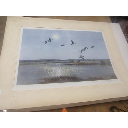 1330 - SIGNED PETER SCOTT LITHOGRAPH, CANDADIAN GEESE 55cms W