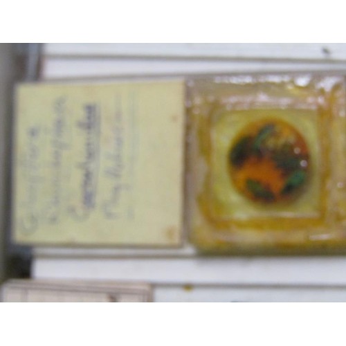 38 - A collection of eighty prepared microscopic insect slides, many prepared in the mid to late 19c.