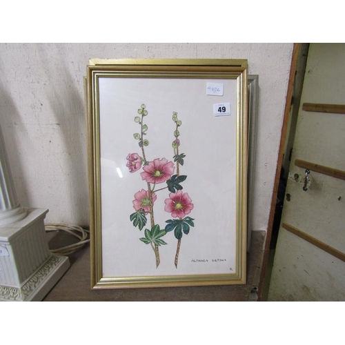 49 - COLLECTION OF BOTANICAL WATERCOLOURS ETC