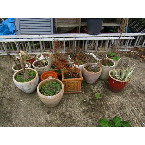 1034 - LARGE QTY OF FLOWER POTS